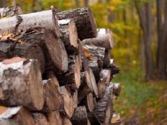 Малоимущим горожанам доставлено более 7 кубов дров